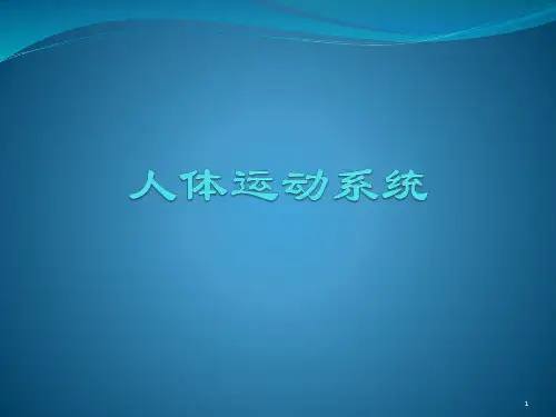 人体运动系统ppt课件