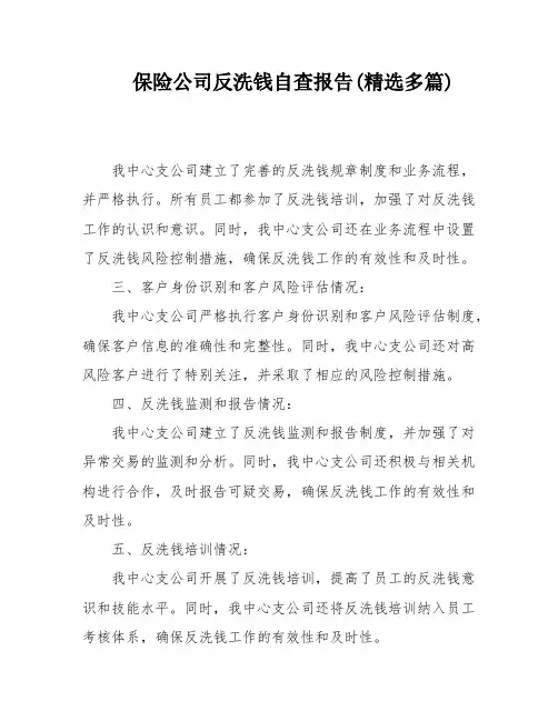 保险公司反洗钱自查报告(精选多篇)