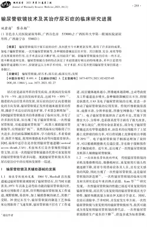 输尿管软镜技术及其治疗尿石症的临床研究进展