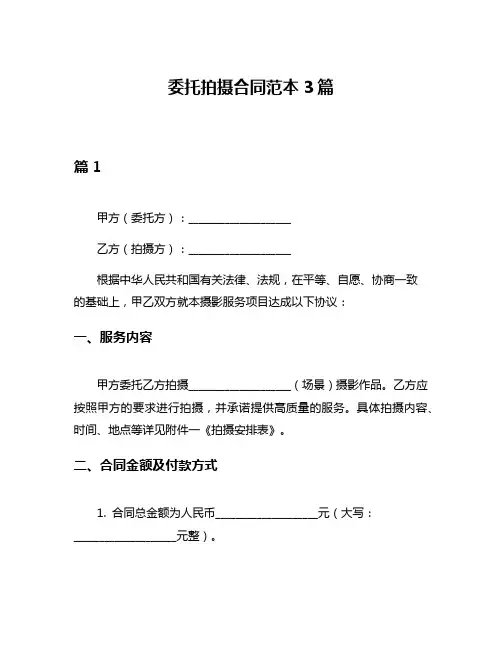 委托拍摄合同范本3篇