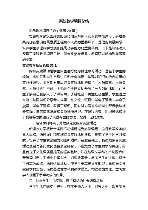 实践教学项目总结