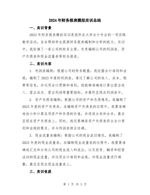 2024年财务报表模拟实训总结