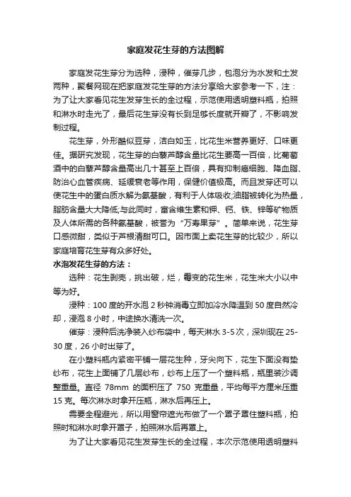家庭发花生芽的方法图解