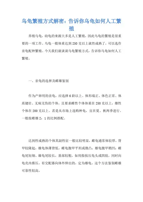 乌龟繁殖方式解密：告诉你乌龟如何人工繁殖