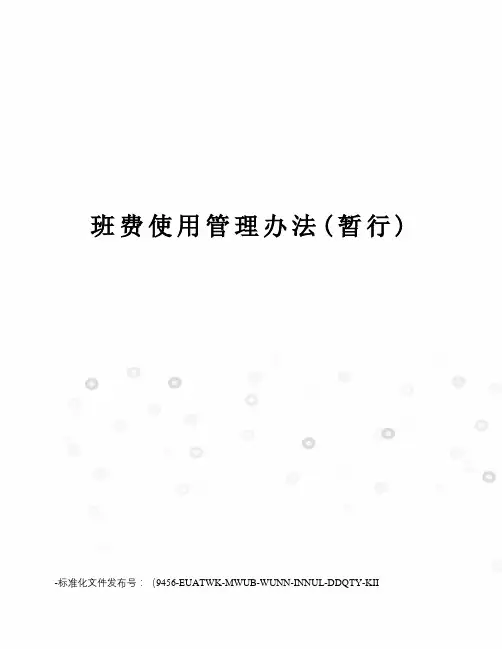 班费使用管理办法(暂行)