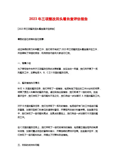2023年三项整改回头看自查评估报告