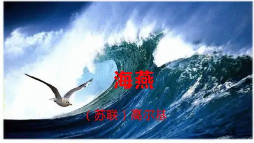 第4课《海燕》课件(共25张PPT) 2021—2022学年部编版语文九年级下册