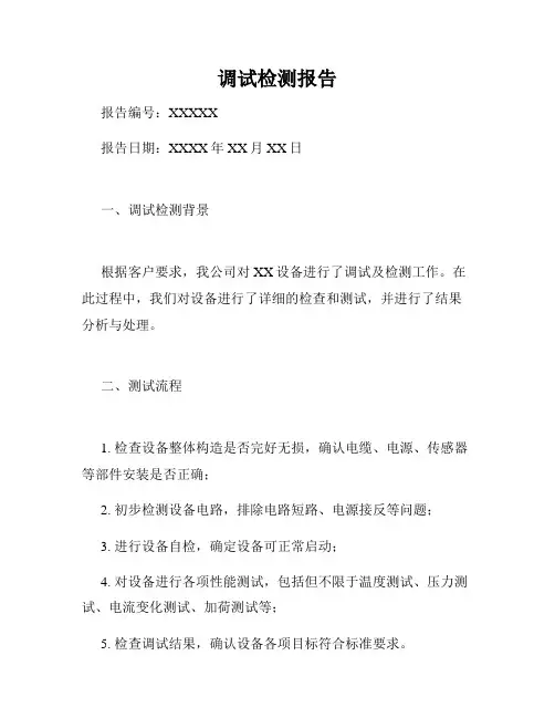 调试检测报告