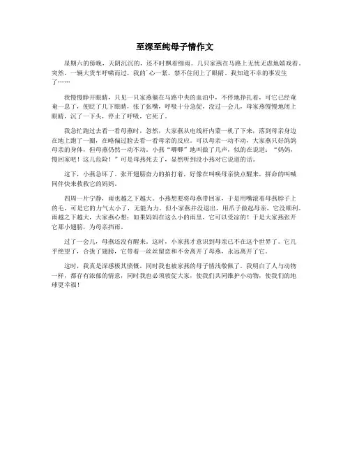 至深至纯母子情作文