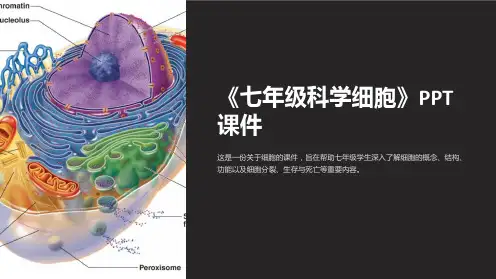 《七年级科学细胞》课件