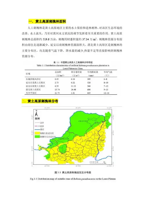 黄土高原刺槐林