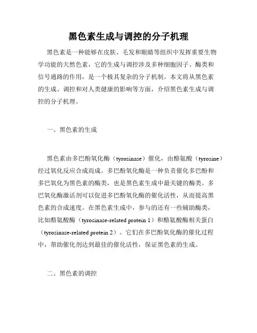 黑色素生成与调控的分子机理