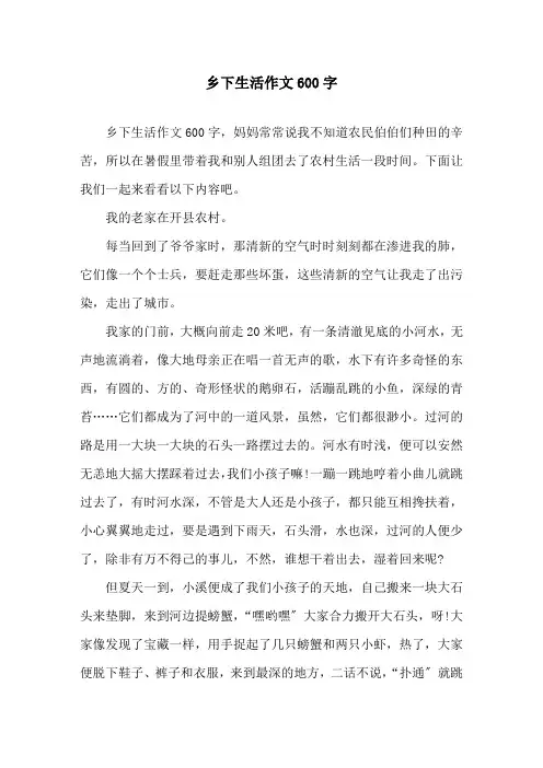 乡下生活作文600字精选