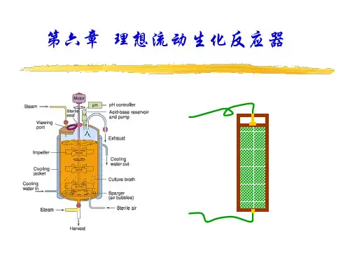 第六章理想流动生化反应器