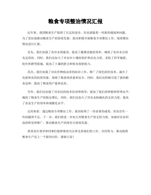 粮食专项整治情况汇报