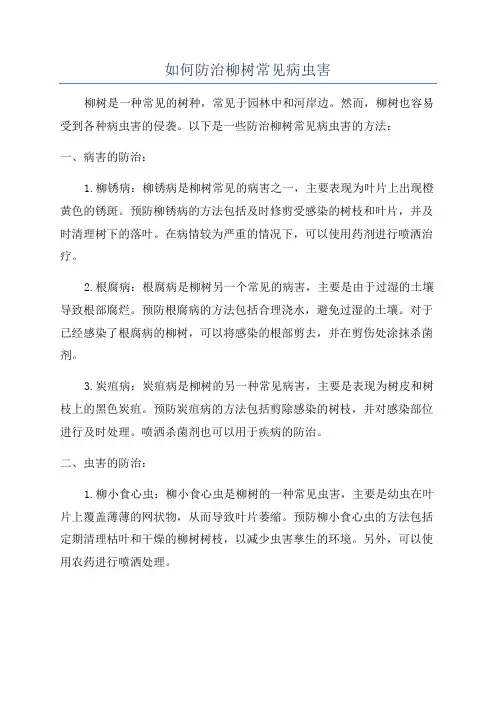如何防治柳树常见病虫害