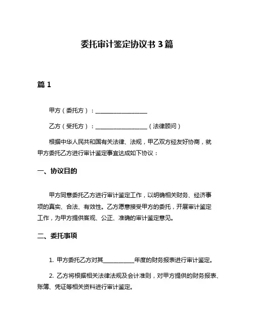 委托审计鉴定协议书3篇
