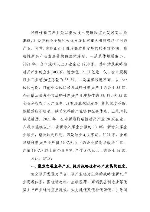 100_加快战略性新兴产业发展的建议