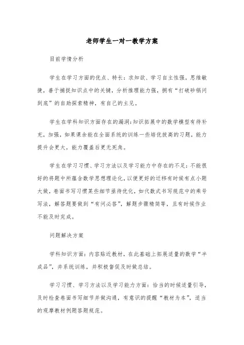 老师学生一对一教学方案(3篇)