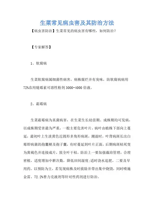 生菜常见病虫害及其防治方法