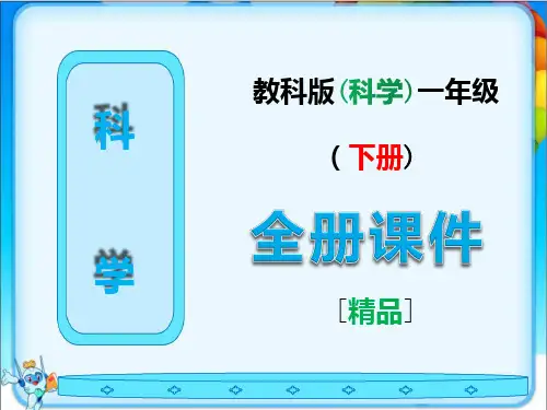 科学一年级下册全册完整课件(教科版)