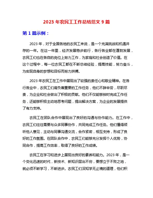 2023年农民工工作总结范文9篇
