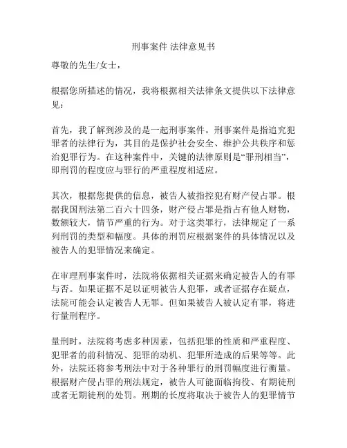 刑事案件 法律意见书