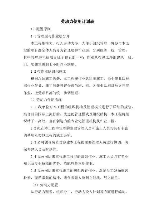 劳动力使用计划表