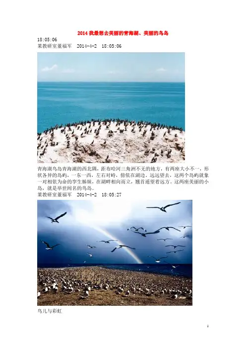 2014我最想去美丽的青海湖、美丽的鸟岛——谨以此美文献给喜欢地理和生活的你