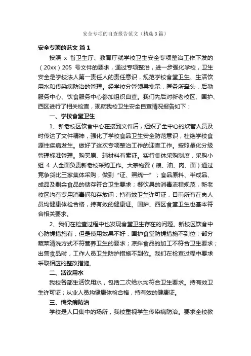 安全专项的自查报告范文（精选3篇）