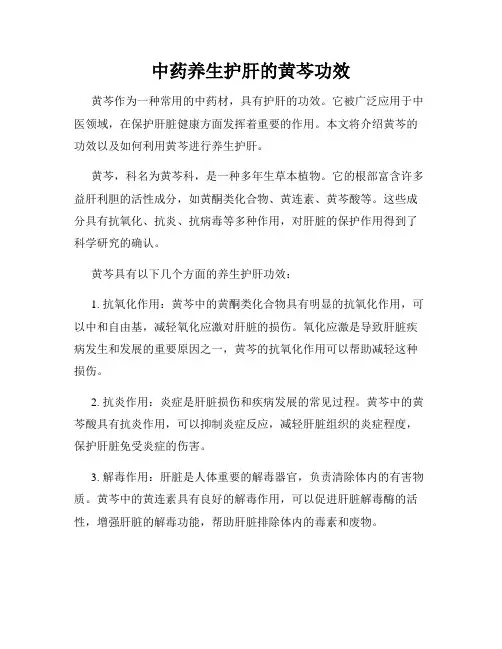 中药养生护肝的黄芩功效