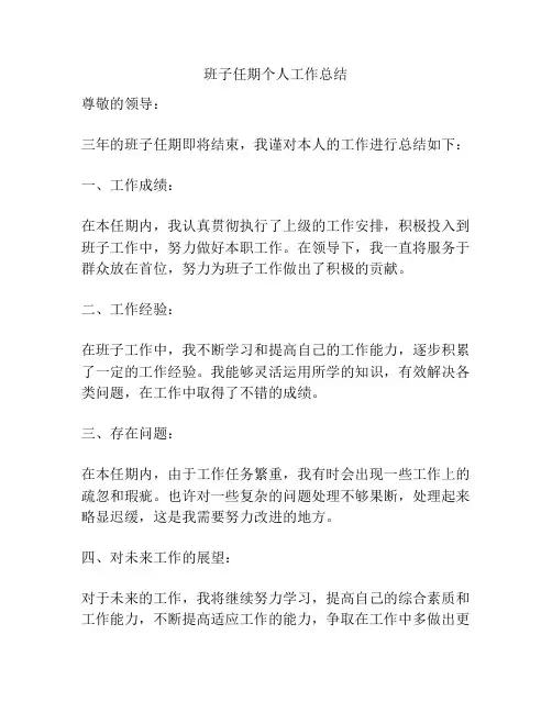 班子任期个人工作总结