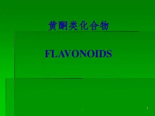 黄酮类化合物