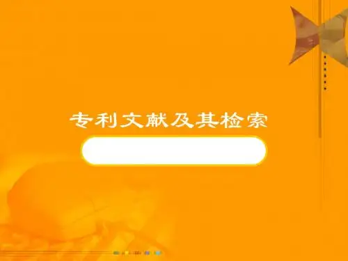6.5 专利文献检索