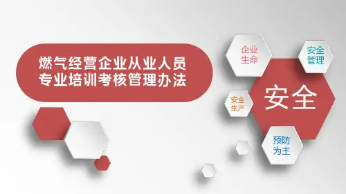 燃气经营企业从业人员专业培训考核管理办法