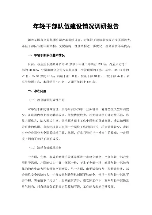 年轻干部队伍建设情况调研报告