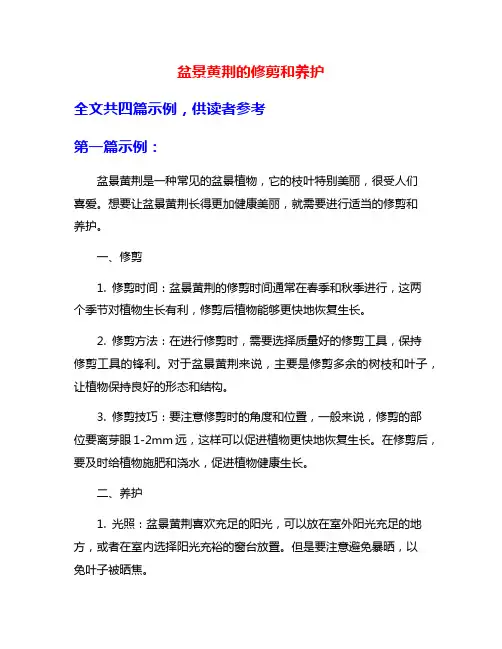 盆景黄荆的修剪和养护