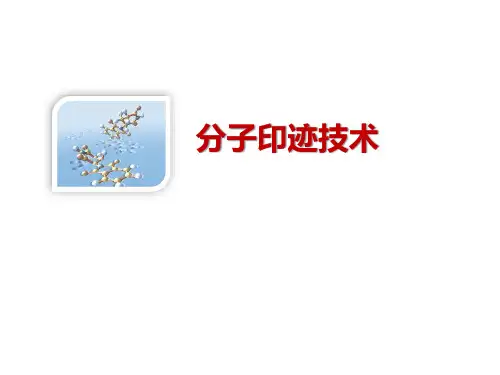 分子印迹