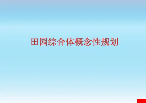 田园综合体概念性规划