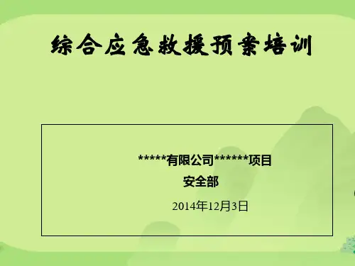 综合应急救援预案培训_PPT课件