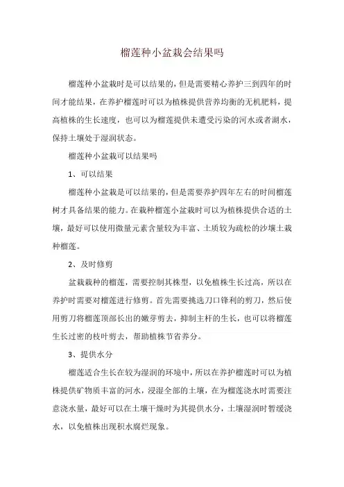 榴莲种小盆栽会结果吗