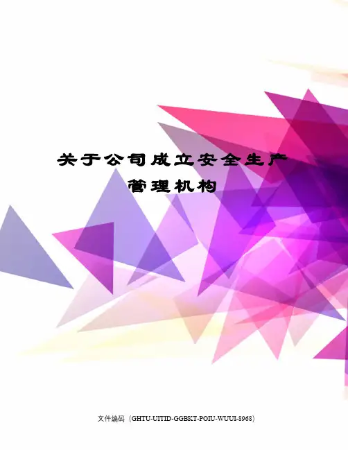 关于公司成立安全生产管理机构