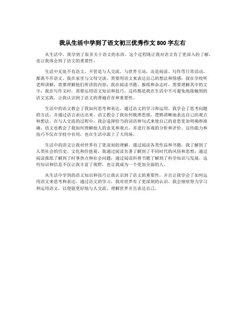 我从生活中学到了语文初三优秀作文800字左右