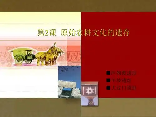 原始农耕文化的遗存PPT课件4 川教版