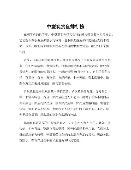 中型观赏鱼排行榜