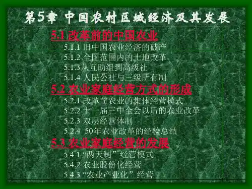 区域经济学(硕士课程)第5章 中国农村区域经济及其发展
