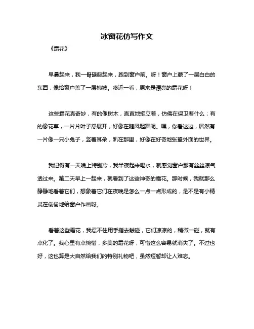 冰窗花仿写作文