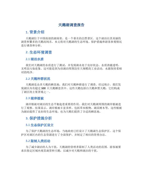 天鹅湖调查报告