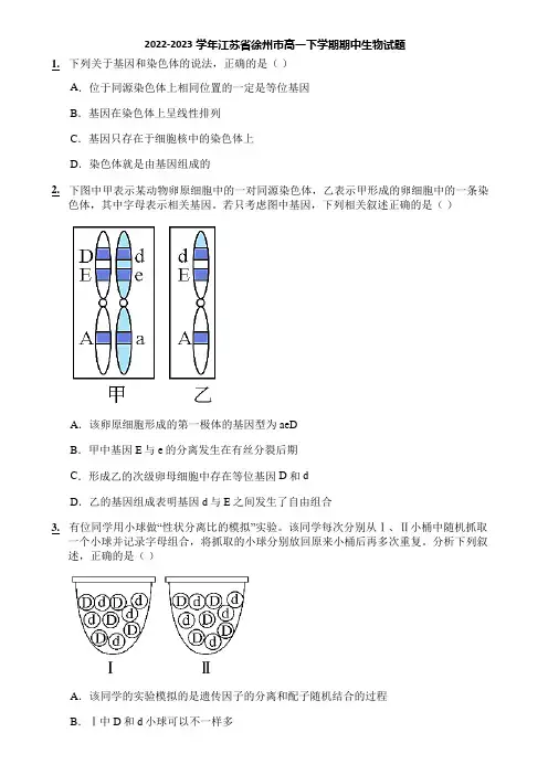 2022-2023学年江苏省徐州市高一下学期期中生物试题