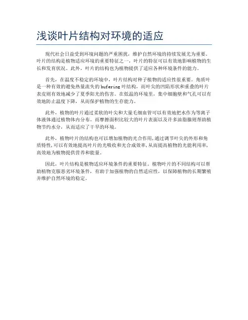 浅谈叶片结构对环境的适应